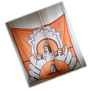 Vlag